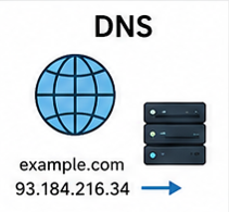 DNS