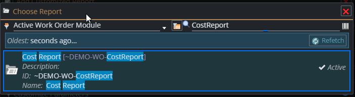 shows the Cost Report