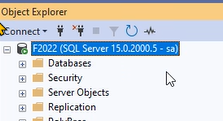 Confirm the SQL Server name